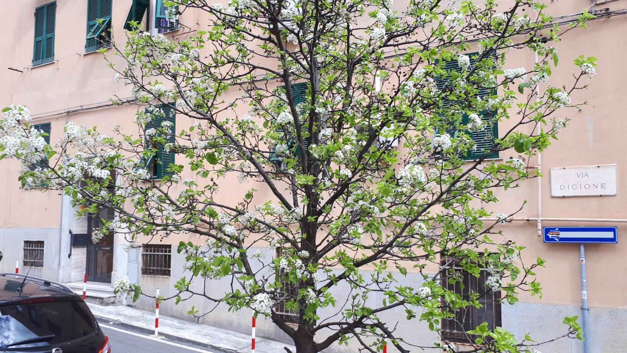 Ca'Saetta Bnb Holiday Home - Park & Go To Genoa Aquarium And Old Town Luaran gambar